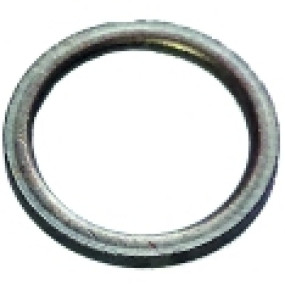 Düsendichtring Alt 135010732