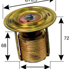 Thermostat T185 500011205