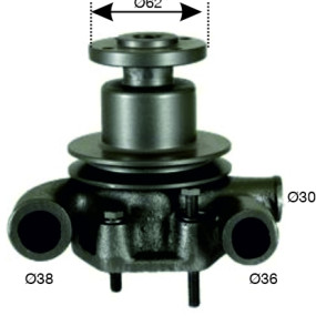 Wasserpumpe Lindner/Mf/Perk 500012784