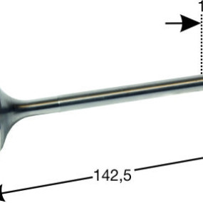 Einlassventil Plus Breite Nut 500014003