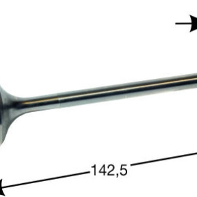 Einlassventil Steyr Land 500014005