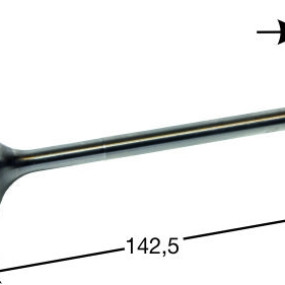Auslassventil Steyr Land 500014006