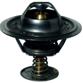 Thermostat 81° 500111135