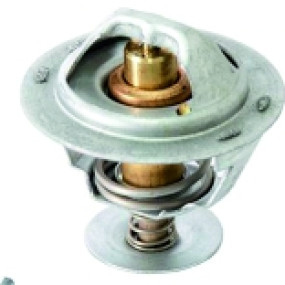 Thermostat 500111935