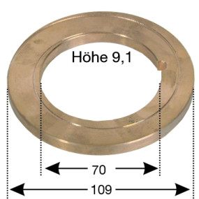 Druckring Steyr 520008085