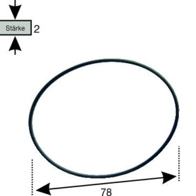O-Ring 521020005