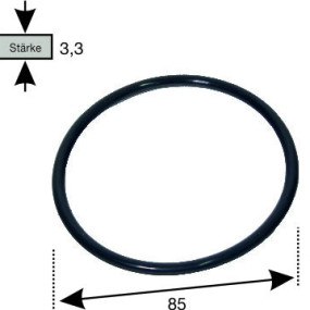 O-Ring 521020103
