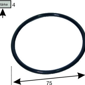 O-Ring 521020153
