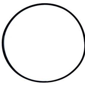 O-Ring 522100114