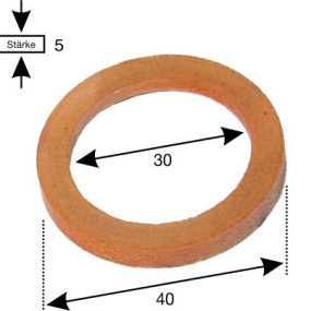 Dichtring 522300103