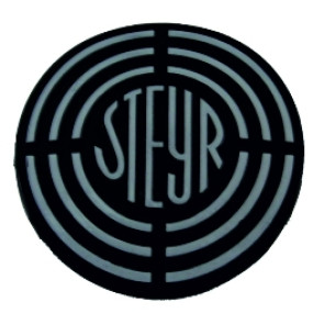Emblem für Motorhaube 523120108