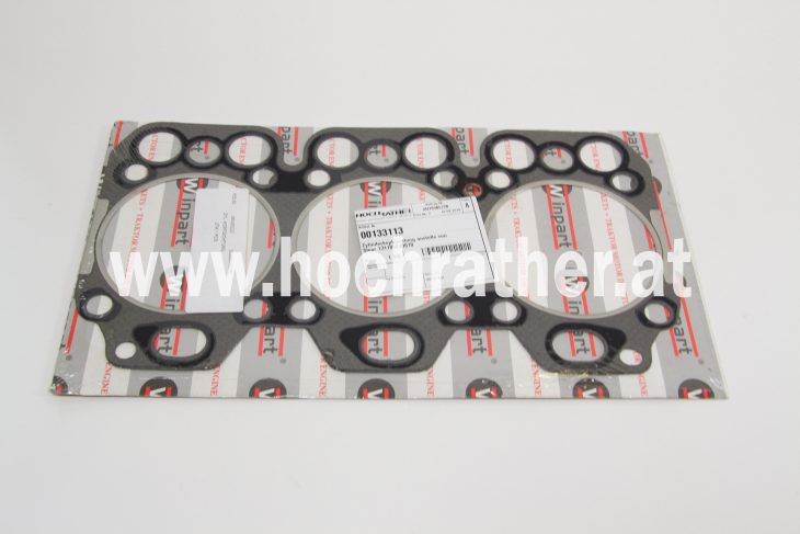 Zylinderkopfdichtung (131100040070) Case Zylinderkopfdichtung (131100040070) Case