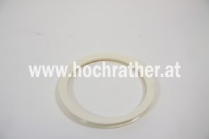 Dichtring (1-33-141-018) Case