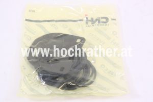 Satteldichtsatz Bremse (1-33-744-001)  Case