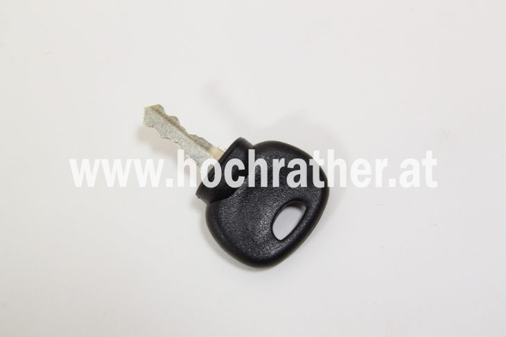 Türschlüssel (1495442) Case Türschlüssel (1495442) Case