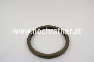 Dichtring (247877A1)  Case