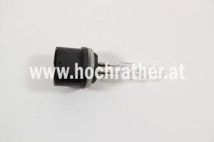 Gluehbirne (44995162)  Case