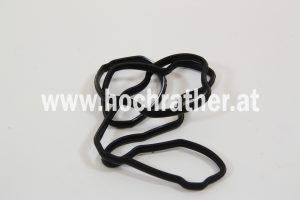 Ventildeckeldichtung (504070037)  Case