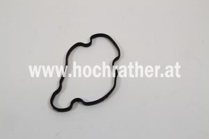 Dichtung, Flach (504173590)  Case