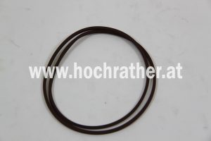 Dichtung (5165511) Case