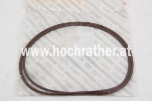 Dichtung, Flach (5165512)  Case