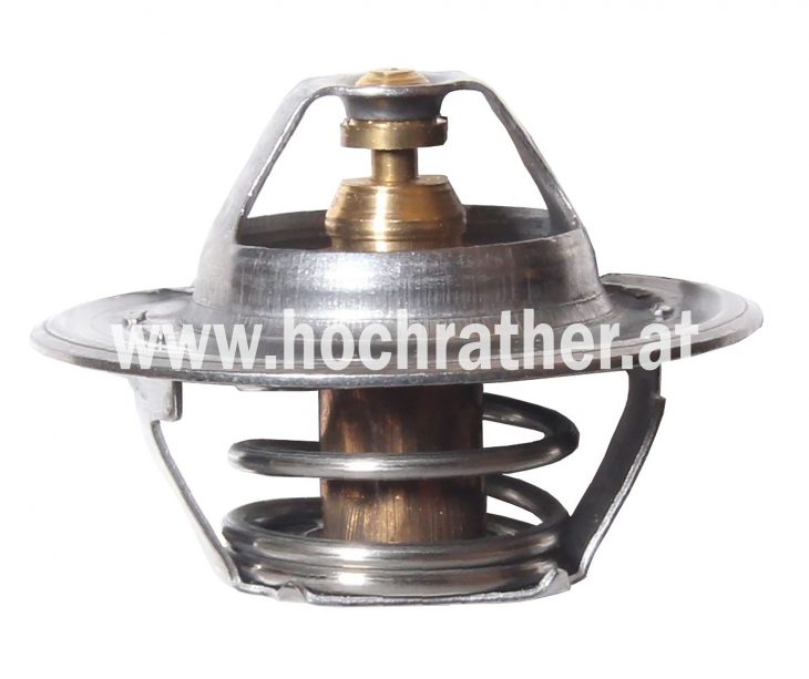 Thermostat Steyr T190 (500011204) Um