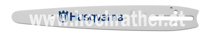 Bar Carving 10 (587394460) Husqvarna
