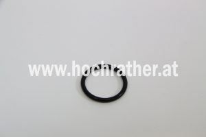 O-Ring (0002159220) [Cla]
