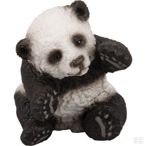 Junger Panda, Spielend (14734Sch) Kramp
