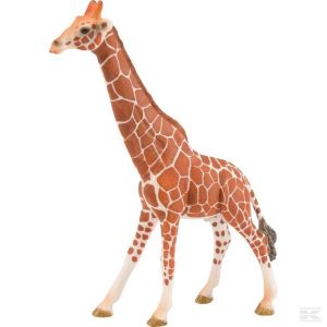 Giraffe, Bulle (14749Sch) Kramp