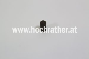 Sperrbolzen Rd.10X19 (2730050) Krone