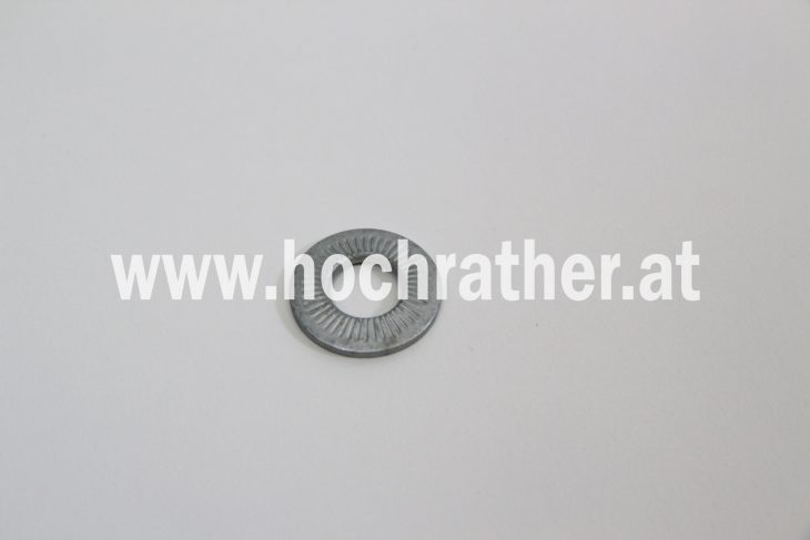 Sperrkantscheibe Skm 10 (9099091) Krone