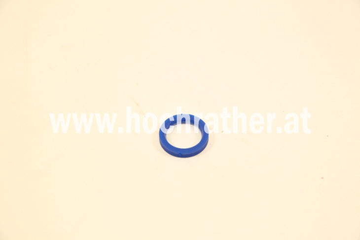 Dichtring Dn10 Zu Stecker (00813298) Prillinger