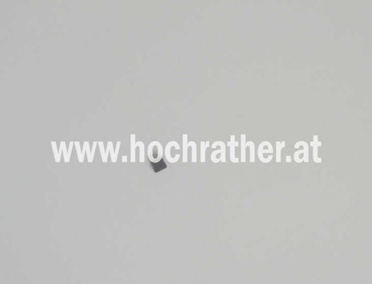 Schneidring 6Ll (00100824) Horsch