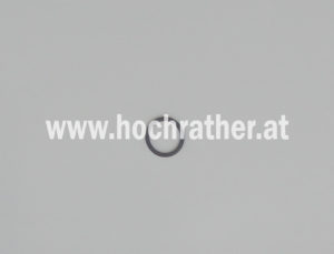 O-Ring   20.29X  2.62 (00110789) Horsch