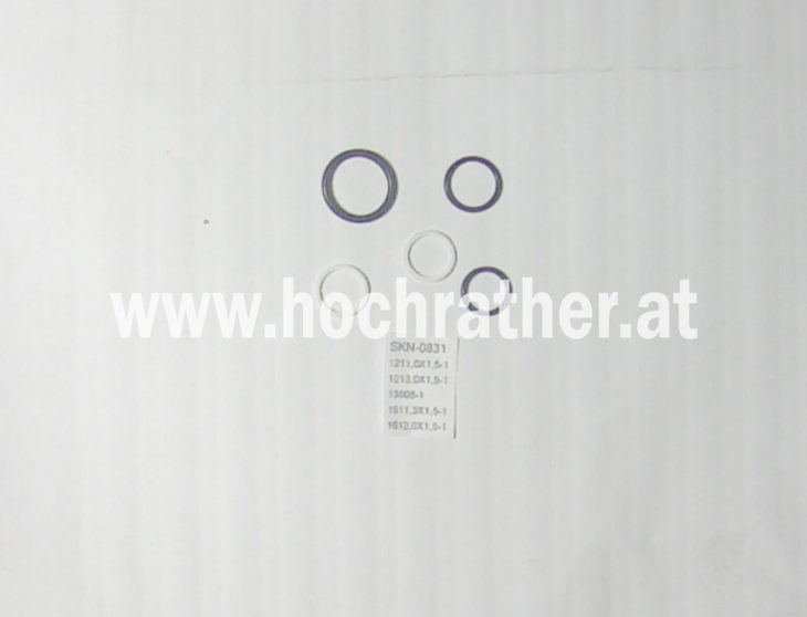Dichtsatz Ds-428-N (00110970) Horsch