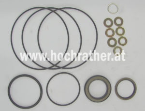 Dichtsatz Hyd.-Motor Omr Gerot (00111027) Horsch