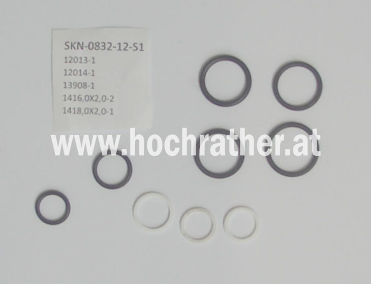 Dichtsatz Skn-0832-12-S1 für 0 (00111028) Horsch