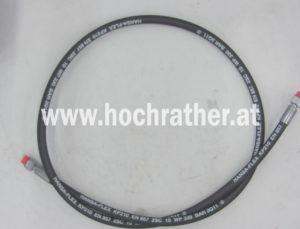 Hsdn10 2Sc Dkol12 Dkol12 1900 Horsch 00120213