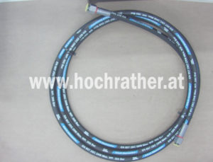 Hs Dn08 2Sc Dkol12 Dkol12  L 5 (00120634) Horsch