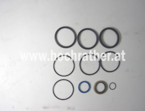 Seal Kit 2 1/2 X 8 Rephasing (00130159) Horsch
