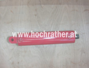 +Hyd.zyl. Dz 100-40- 381 (00130644) Horsch