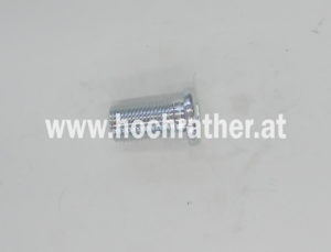 Sks 16X1,5X30 Sonderschraube Li (23010205)  Horsch