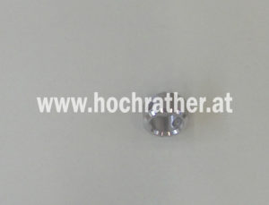 Führung 50X 8.8 - 25 F. Bolzen Ø32 (23460207) Horsch