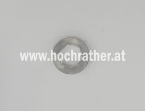 Sicherungsblech Sw30/Rund T=10 (23961802) Horsch