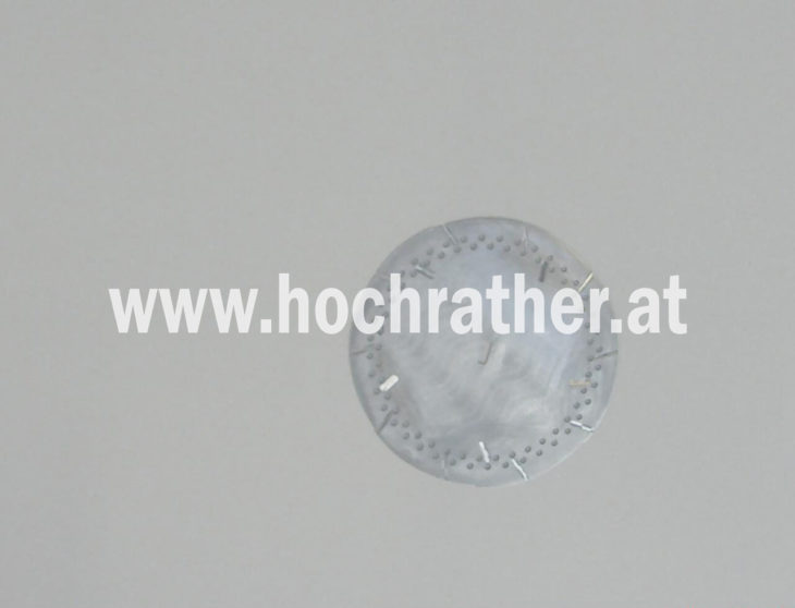 Dosierscheibe Aø 144 80 Loch Ø1,50 (24018950) Horsch Dosierscheibe Aø 144 80 Loch Ø1,50 (24018950) Horsch