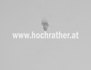 Gewindefurch. Schraube F. Br. (27032608) Horsch