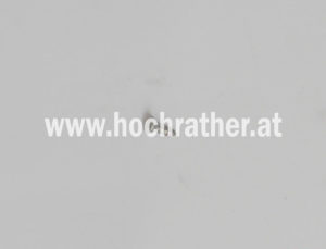 Blechschr.senk.torx. C 2.9X13.0 A2 (636122) Horsch