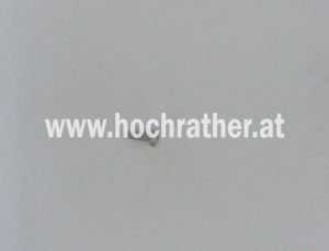 Linsenschr.kreuz M 6X 16 Vz. Din 7985 (639892) Horsch