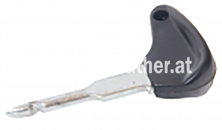 Zündschlüssel Bosch (350889101) Um Zündschlüssel Bosch (350889101) Um